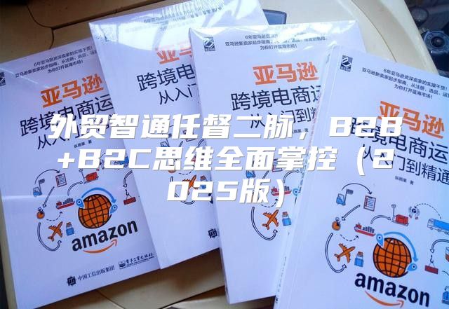 外贸智通任督二脉，B2B+B2C思维全面掌控2025版