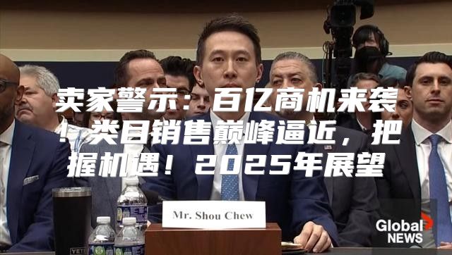 卖家警示：百亿商机来袭！类目销售巅峰逼近，把握机遇！2025年展望