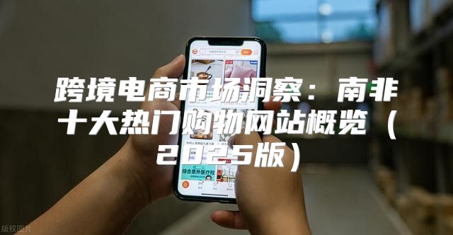 跨境电商市场洞察：南非十大热门购物网站概览2025版