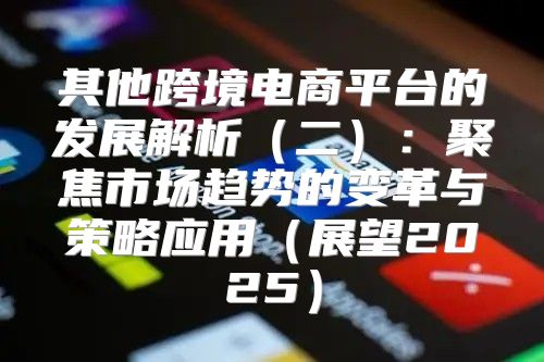 其他跨境电商平台的发展解析二：聚焦市场趋势的变革与策略应用展望2025