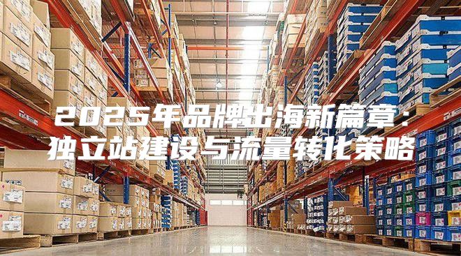 2025年品牌出海新篇章：独立站建设与流量转化策略