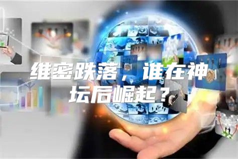 维密跌落，谁在神坛后崛起？