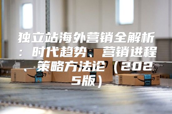 独立站海外营销全解析：时代趋势、营销进程、策略方法论2025版