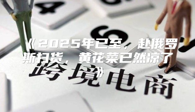 2025年已至，赴俄罗斯扫货，黄花菜已然凉了