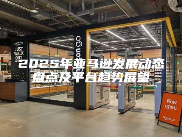 2025年亚马逊发展动态盘点及平台趋势展望