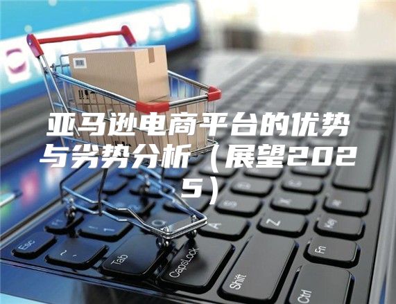 亚马逊电商平台的优势与劣势分析展望2025