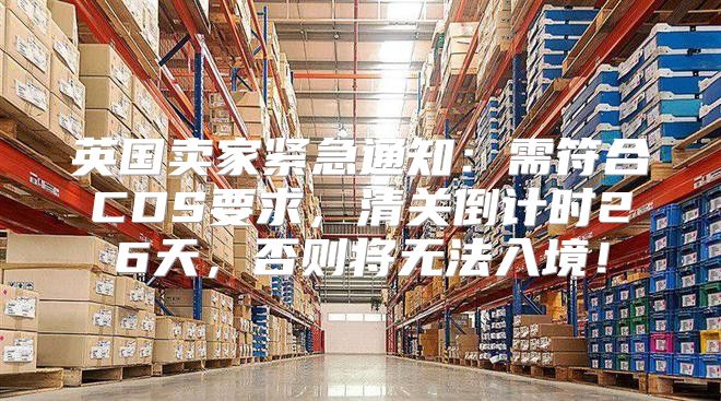 英国卖家紧急通知：需符合CDS要求，清关倒计时26天，否则将无法入境！