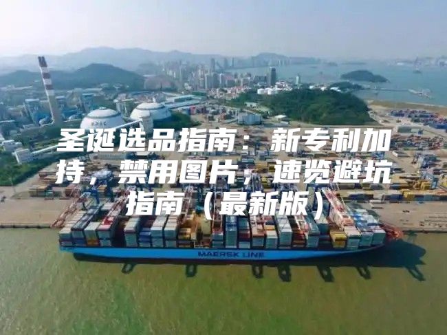 圣诞选品指南：新专利加持，禁用图片，速览避坑指南最新版