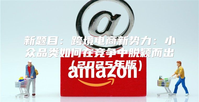 新题目：跨境电商新势力：小众品类如何在竞争中脱颖而出2025年版