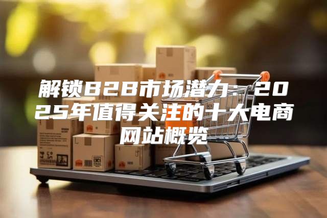 解锁B2B市场潜力：2025年值得关注的十大电商网站概览