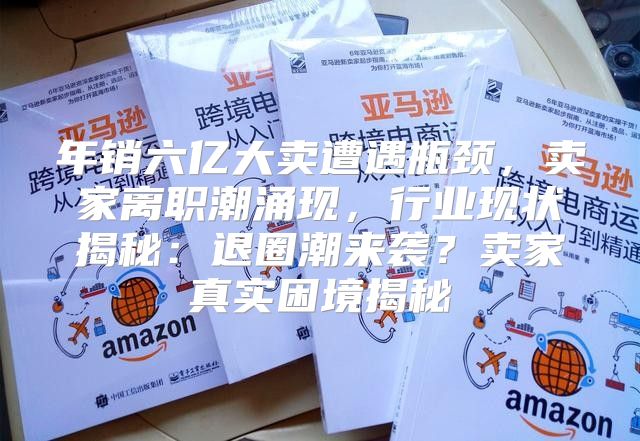 年销六亿大卖遭遇瓶颈，卖家离职潮涌现，行业现状揭秘：退圈潮来袭？卖家真实困境揭秘