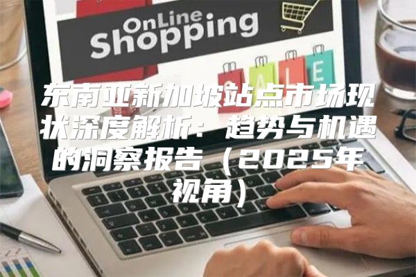 东南亚新加坡站点市场现状深度解析：趋势与机遇的洞察报告2025年视角