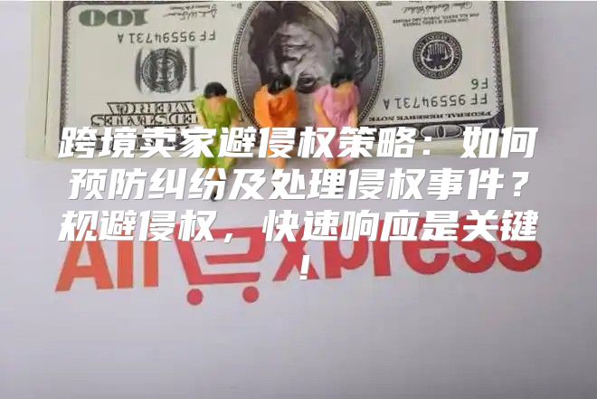 跨境卖家避侵权策略：如何预防纠纷及处理侵权事件？规避侵权，快速响应是关键！