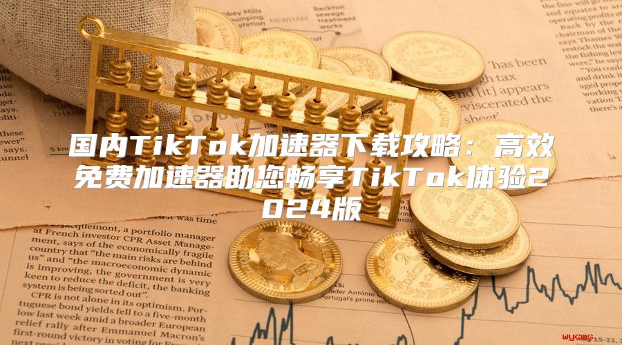 国内TikTok加速器下载攻略：高效免费加速器助您畅享TikTok体验2025版