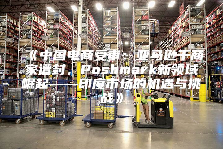 中国电商受审：亚马逊千商家遭封，Poshmark新领域崛起——印度市场的机遇与挑战