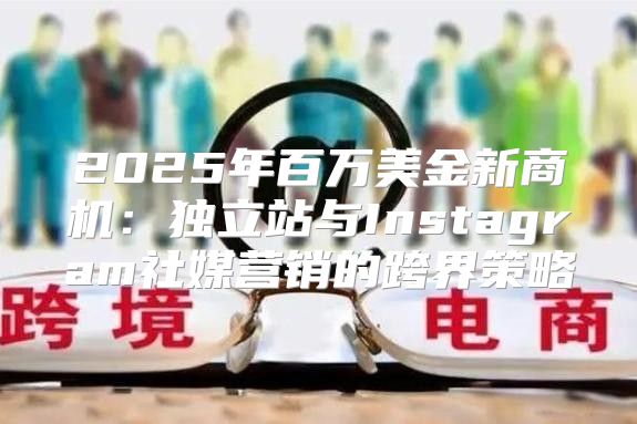2025年百万美金新商机：独立站与Instagram社媒营销的跨界策略