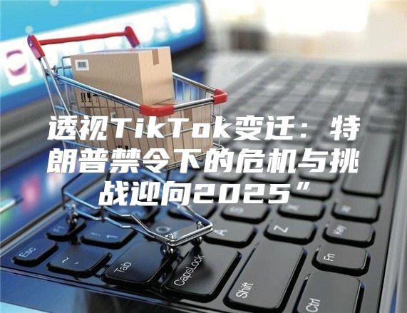 透视TikTok变迁：特朗普禁令下的危机与挑战迎向2025”