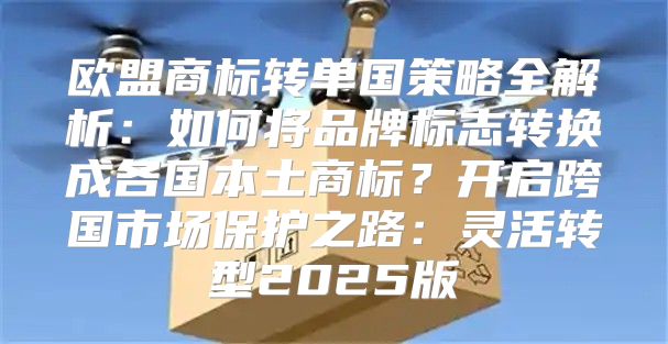 欧盟商标转单国策略全解析：如何将品牌标志转换成各国本土商标？开启跨国市场保护之路：灵活转型2025版