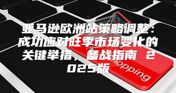 亚马逊欧洲站策略调整：成功应对旺季市场变化的关键举措，备战指南 2025版