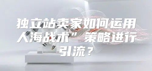 独立站卖家如何运用人海战术”策略进行引流？