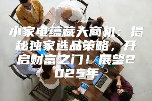 小家电蕴藏大商机：揭秘独家选品策略，开启财富之门！展望2025年