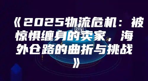 2025物流危机：被惊惧缠身的卖家，海外仓路的曲折与挑战