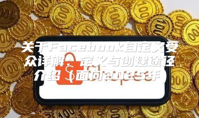 关于Facebook自定义受众详解：定义与创建途径介绍面向2025年
