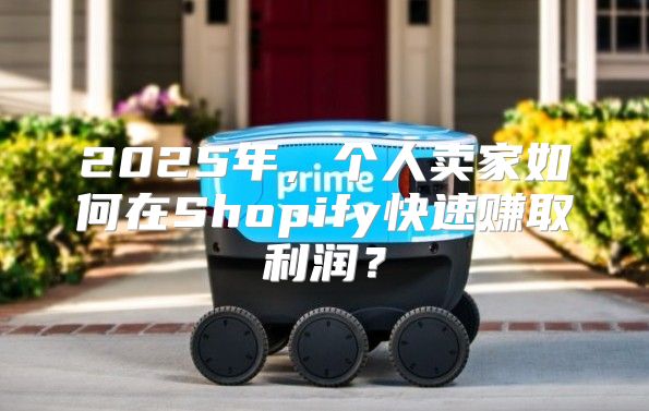 2025年，个人卖家如何在Shopify快速赚取利润？