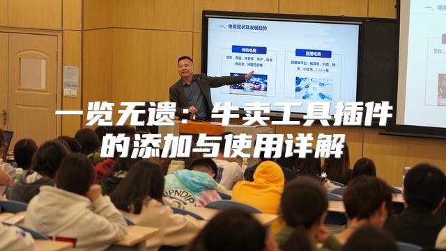 一览无遗：牛卖工具插件的添加与使用详解