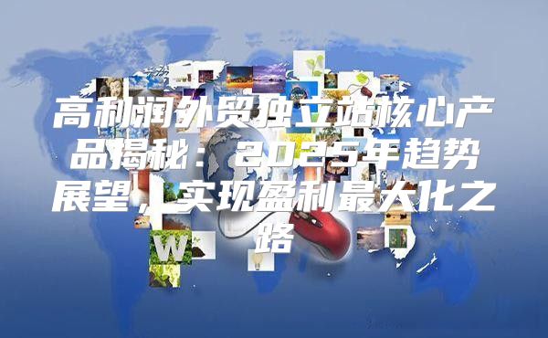 高利润外贸独立站核心产品揭秘：2025年趋势展望，实现盈利最大化之路