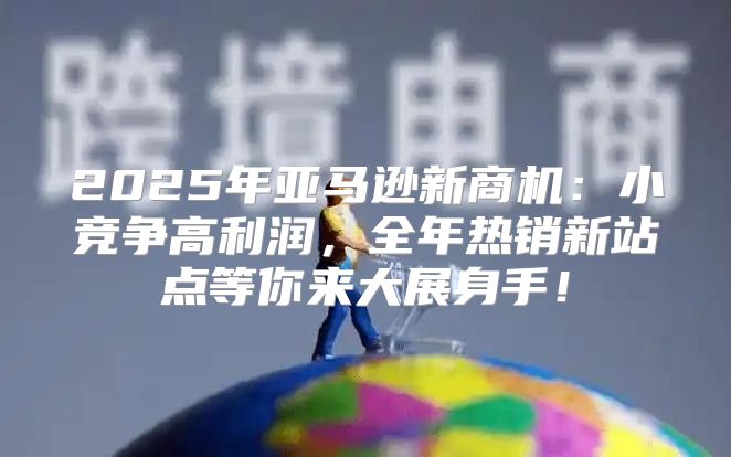 2025年亚马逊新商机：小竞争高利润，全年热销新站点等你来大展身手！