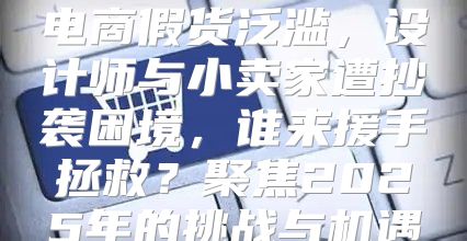 电商假货泛滥，设计师与小卖家遭抄袭困境，谁来援手拯救？聚焦2025年的挑战与机遇