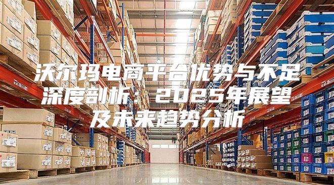 沃尔玛电商平台优势与不足深度剖析：2025年展望及未来趋势分析