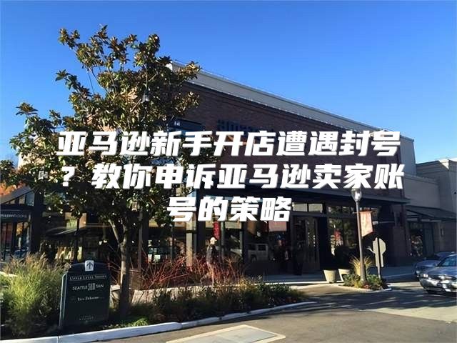 亚马逊新手开店遭遇封号？教你申诉亚马逊卖家账号的策略