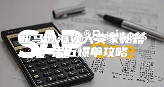 亚马逊海外大卖家秘籍：黑五爆单攻略