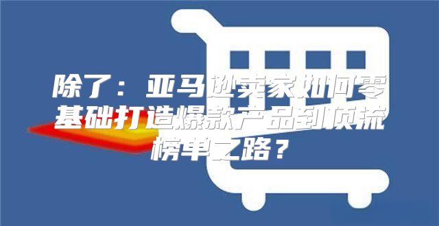 除了：亚马逊卖家如何零基础打造爆款产品到顶流榜单之路？