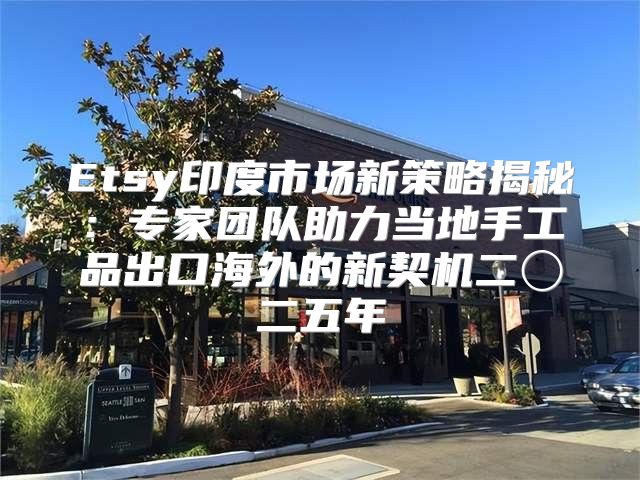 Etsy印度市场新策略揭秘：专家团队助力当地手工品出口海外的新契机二〇二五年