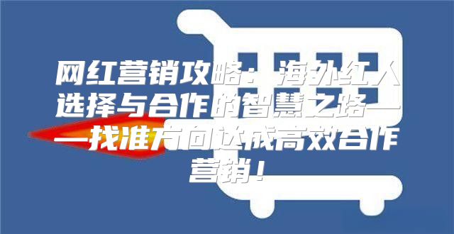 网红营销攻略：海外红人选择与合作的智慧之路——找准方向达成高效合作营销！