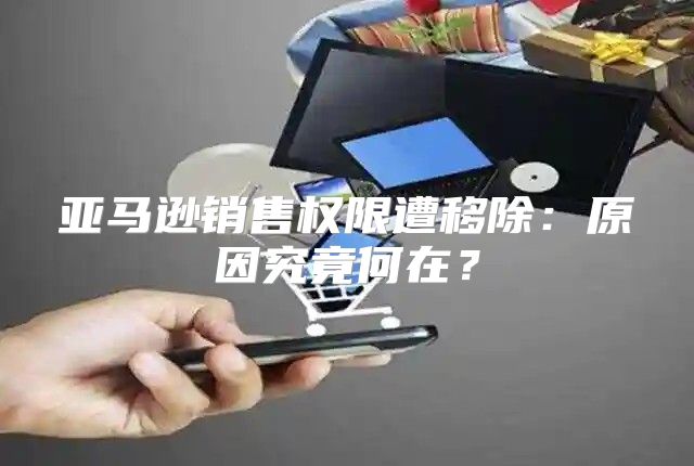 亚马逊销售权限遭移除：原因究竟何在？