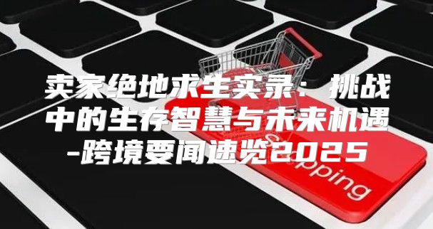 卖家绝地求生实录：挑战中的生存智慧与未来机遇-跨境要闻速览2025