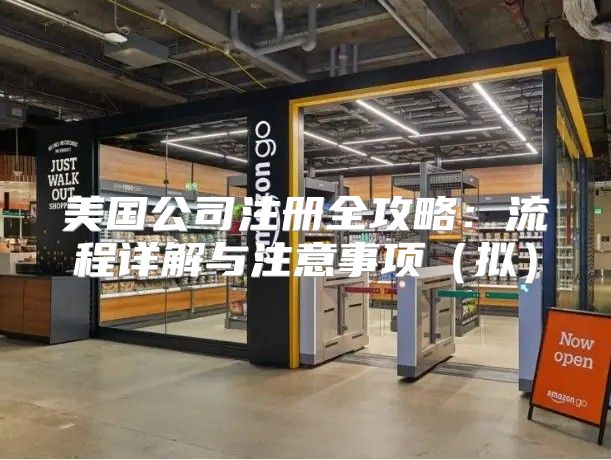 美国公司注册全攻略：流程详解与注意事项拟