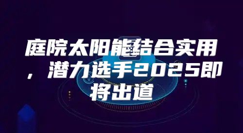 庭院太阳能结合实用，潜力选手2025即将出道