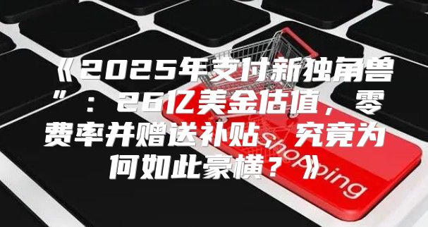 2025年支付新独角兽”：26亿美金估值，零费率并赠送补贴，究竟为何如此豪横？