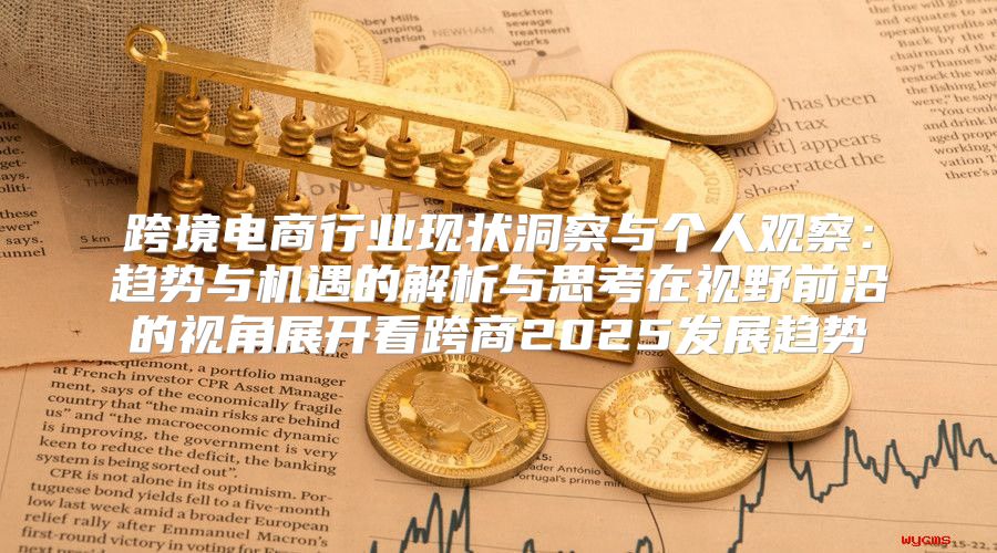 跨境电商行业现状洞察与个人观察：趋势与机遇的解析与思考在视野前沿的视角展开看跨商2025发展趋势