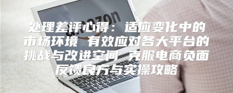 处理差评心得：适应变化中的市场环境 有效应对各大平台的挑战与改进空间 克服电商负面反馈良方与实操攻略