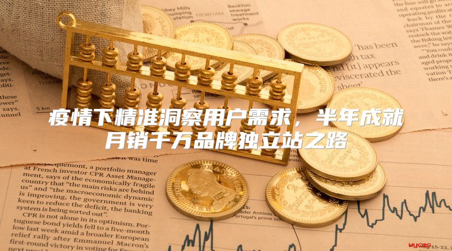 疫情下精准洞察用户需求，半年成就月销千万品牌独立站之路