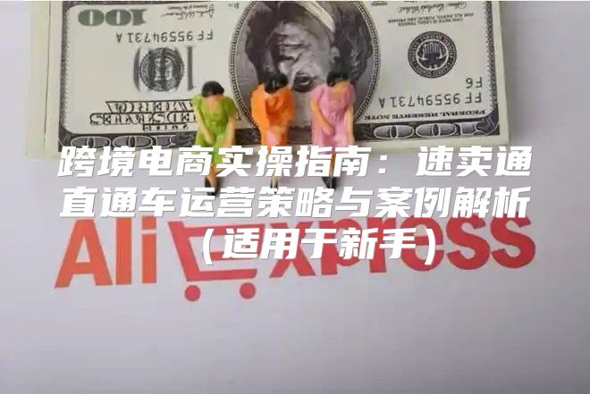 跨境电商实操指南：速卖通直通车运营策略与案例解析适用于新手