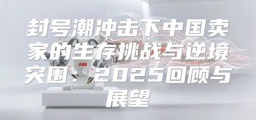 封号潮冲击下中国卖家的生存挑战与逆境突围：2025回顾与展望