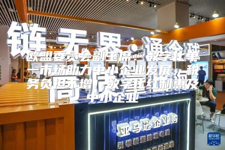 欧盟委员会副主席：数字化单一市场助力中小企业发展，税务负担不增！数字化红利惠及中小企业