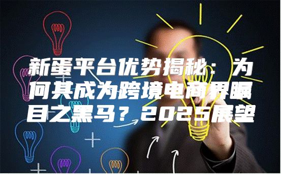 新蛋平台优势揭秘：为何其成为跨境电商界瞩目之黑马？2025展望
